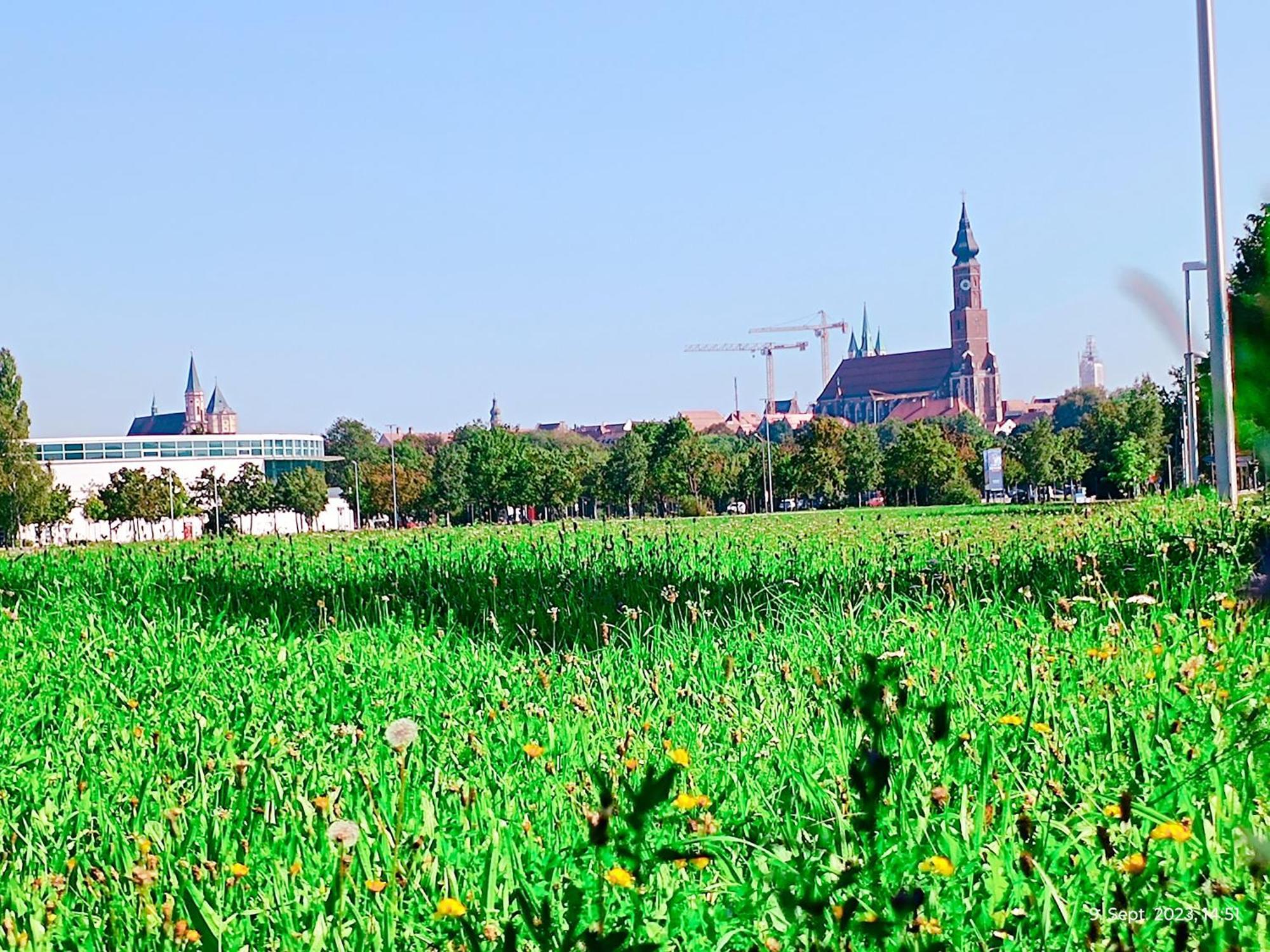 G.A.D.D Ferienwohnung/Glueck An Der Donau 施特劳宾 外观 照片